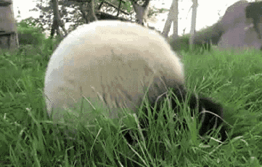 松了！聊聊下半年值得期待的国内新赛事开元ky棋牌这些美食之城也将举办马拉(图10)